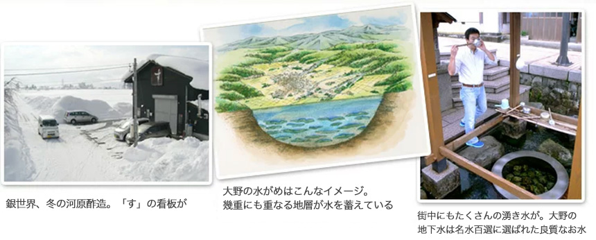「老梅 有機純米酢