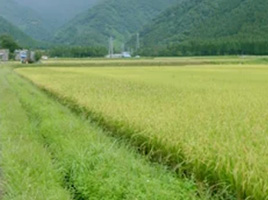 有機農業に適した環境