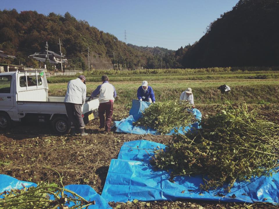 えごま油