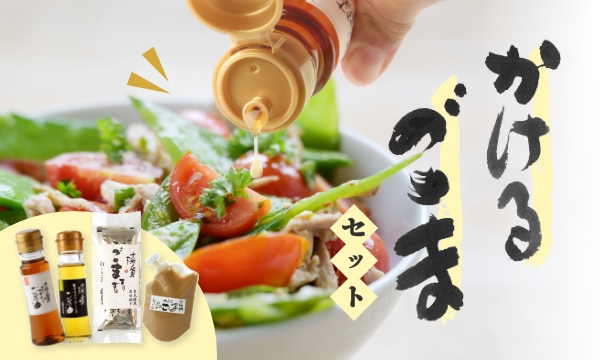 かけるごまセット 内容