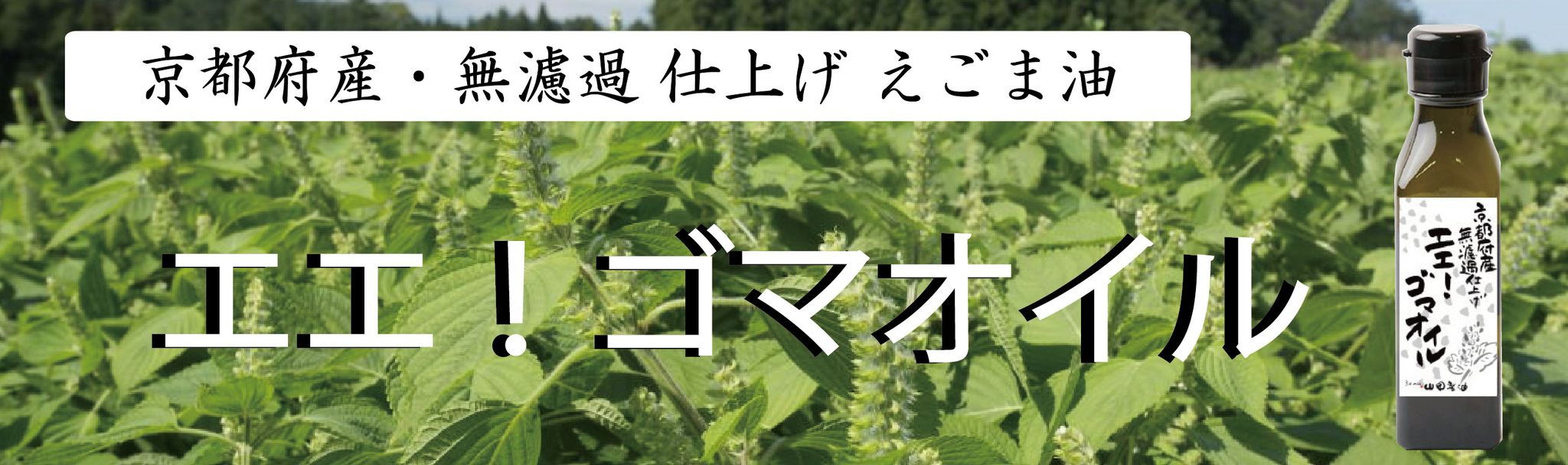 エエゴマオイルバナー