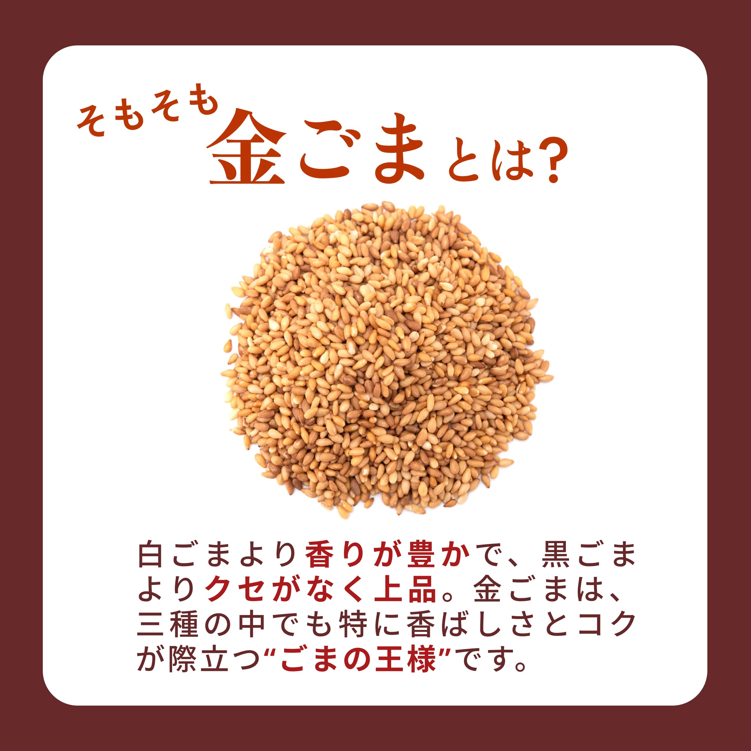 プラスごまセット商品説明