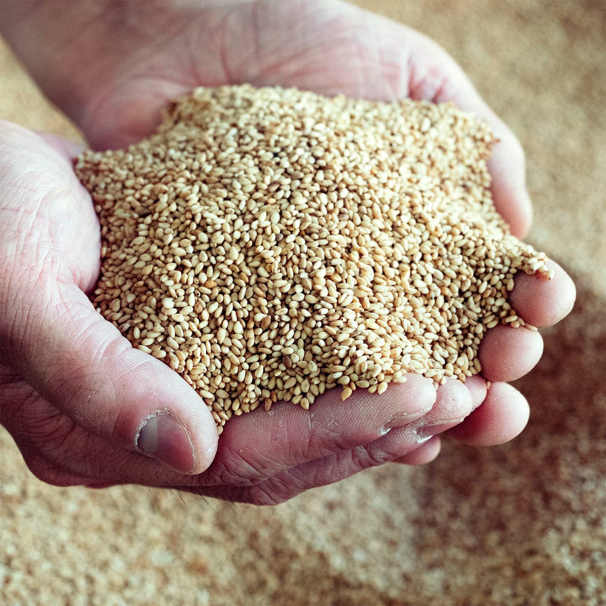 ごま職人が厳選した良質の胡麻