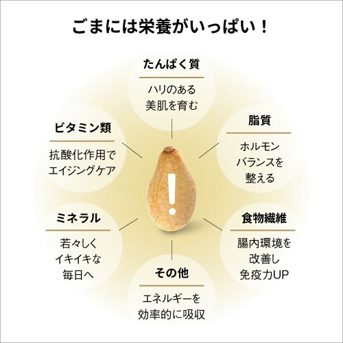 alto motto sesame（プレーン）80g