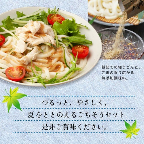 山田製油　京涼だより　2025夏ギフト　うどんイメージ