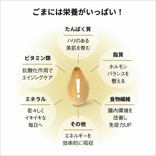 gomacro新商品4点セット alto moto sesame アルトモットセサミ ごまラテ エキストラバージンごま油