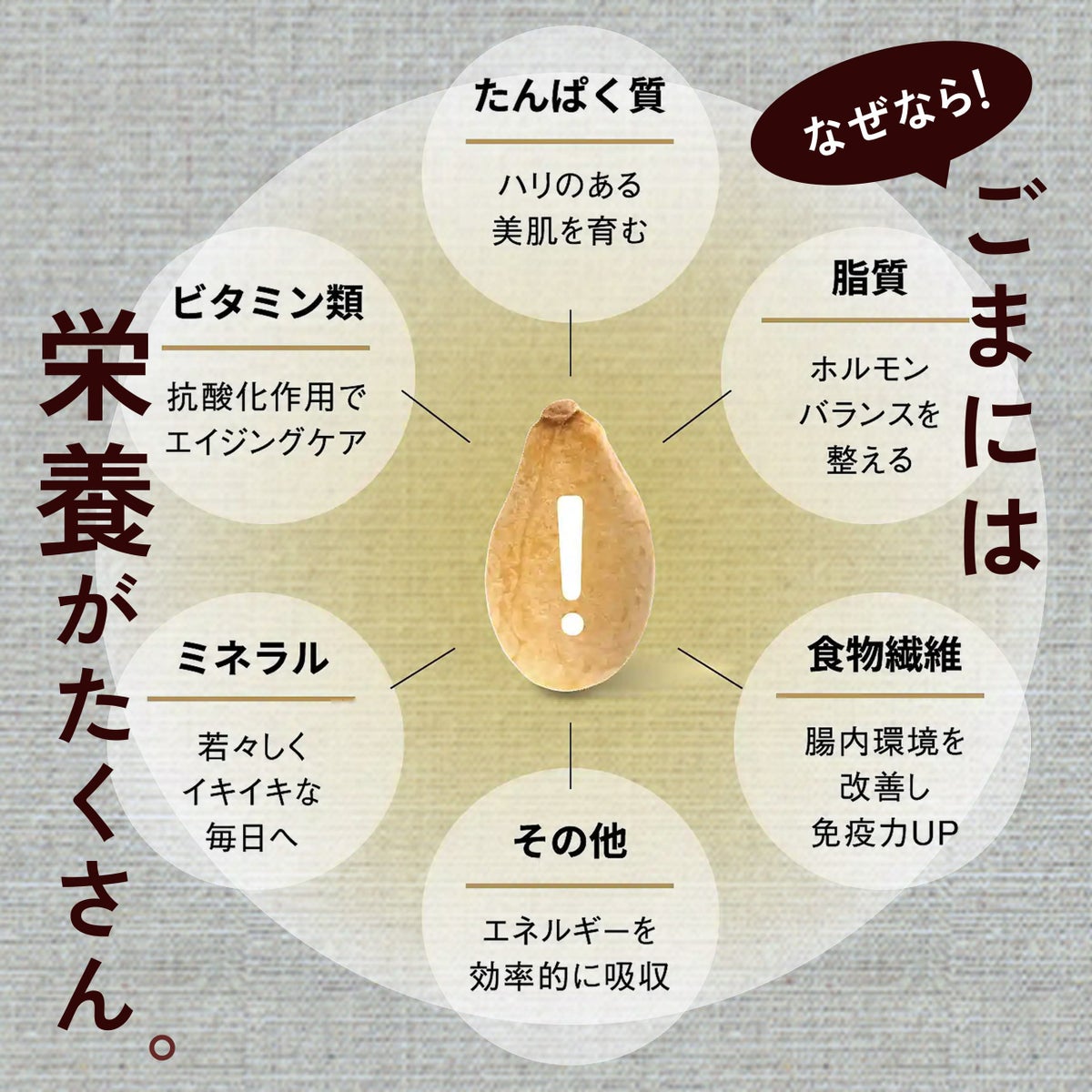 山田製油_ごまには栄養がたくさん