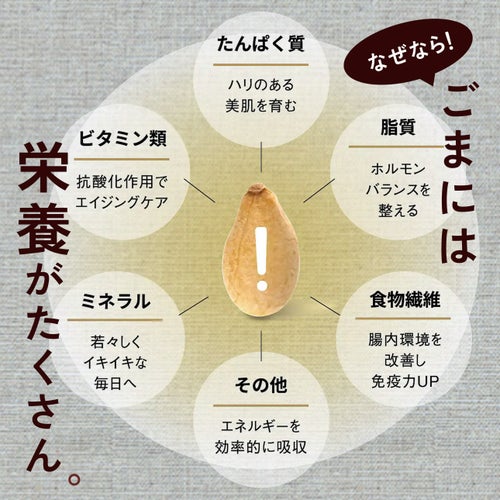 山田製油_ごまには栄養がたくさん